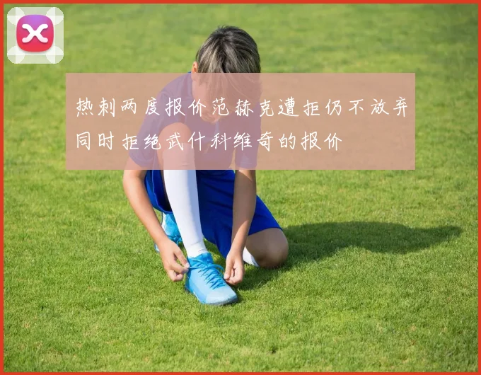 热刺两度报价范赫克遭拒仍不放弃同时拒绝武什科维奇的报价