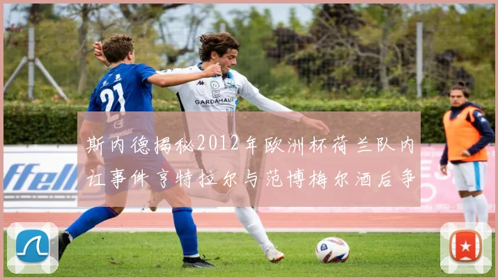 斯内德揭秘2012年欧洲杯荷兰队内讧事件亨特拉尔与范博梅尔酒后争执内幕