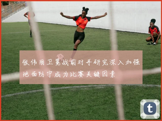 张伟丽卫冕战前对手研究深入加强地面防守成为比赛关键因素
